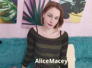 AliceMacey