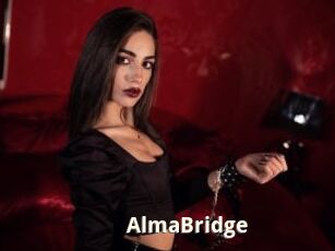 AlmaBridge