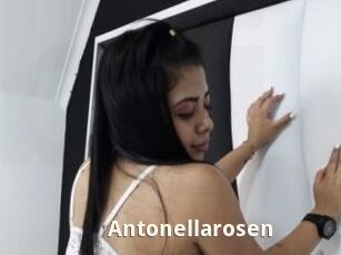 Antonellarosen
