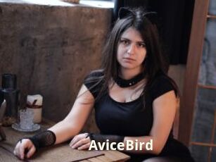 AviceBird