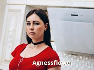 Agnessflower