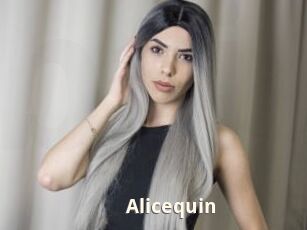 Alicequin