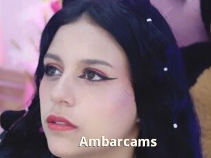 Ambarcams
