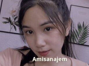 Amisanajem