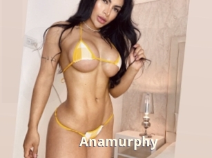 Anamurphy