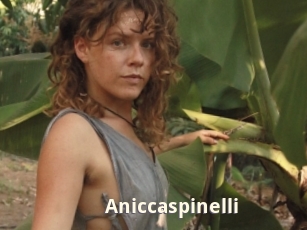 Aniccaspinelli
