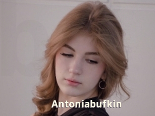 Antoniabufkin