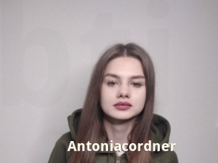 Antoniacordner