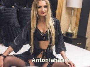 Antoniahaart