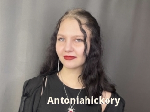 Antoniahickory