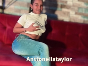 Anttonellataylor