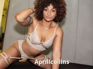 Aprillcollins