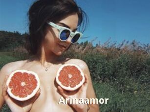 Arinaamor