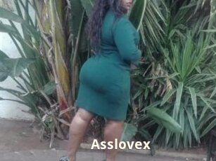 Asslovex