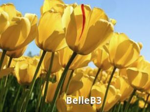 BelleB3