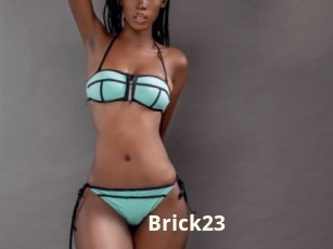 Brick23