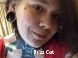 Buzz_Cat