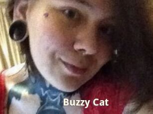 Buzzy_Cat