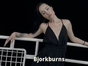 Bjorkburns
