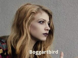 Boggartbird