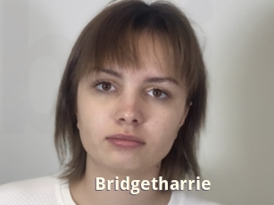 Bridgetharrie