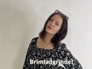 Brimladgrindel