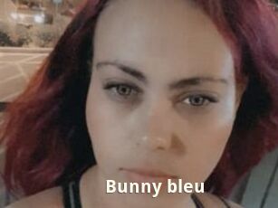 Bunny_bleu