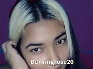 Burningrose20