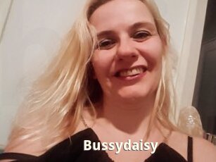 Bussydaisy