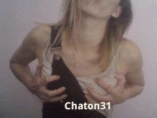 Chaton31