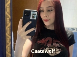 Caatawolf