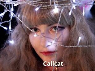 Calicat