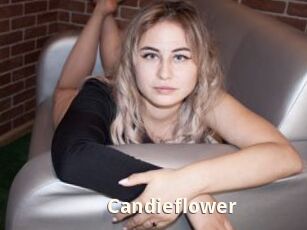 Candieflower