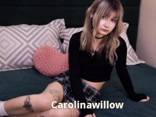Carolinawillow
