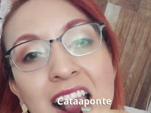 Cataaponte