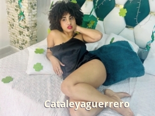 Cataleyaguerrero