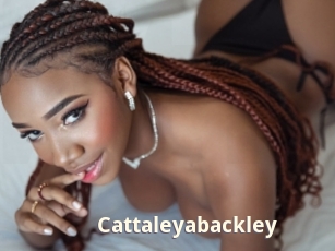 Cattaleyabackley