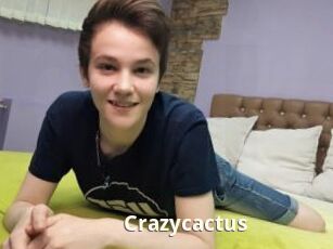 Crazycactus