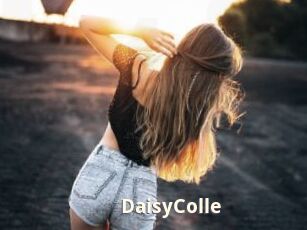 DaisyColle