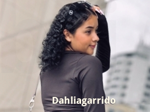 Dahliagarrido