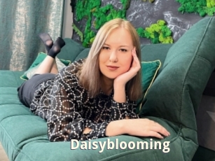 Daisyblooming