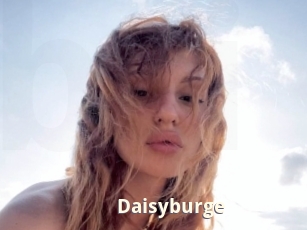 Daisyburge