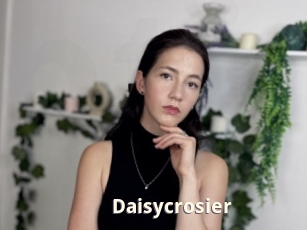 Daisycrosier