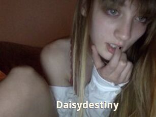 Daisydestiny