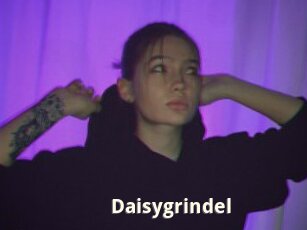 Daisygrindel
