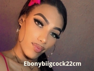 Ebonybiigcock22cm