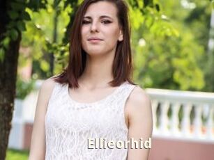 Ellieorhid