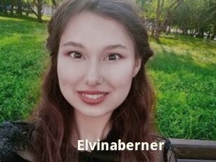 Elvinaberner