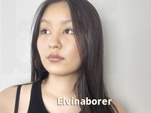 Elvinaborer