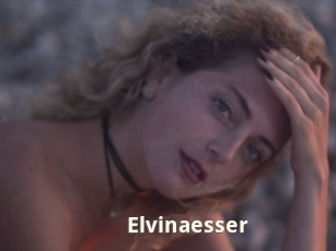 Elvinaesser